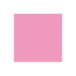 Promarker Rose Pink nr. M727