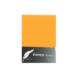 Exclusive kort Orange  A6 x 10 