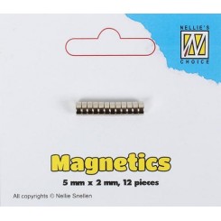 Magneter 12 stk 5 mm x 2 mm