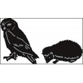 Tiny Owl & hedgehog dies nr. CR1339