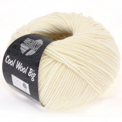 Cool Wool Big Merinould 50 g