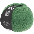 Cool Wool Lace fv. 39