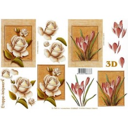 3D blomster Rose