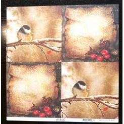 Scrapark 30 x 30 cm Fugle