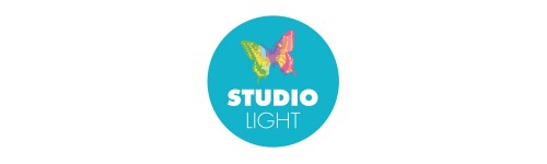 Studio Light og Hero Arts